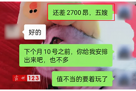 桑植桑植的要账公司在催收过程中的策略和技巧有哪些？