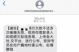 桑植如何避免债务纠纷？专业追讨公司教您应对之策