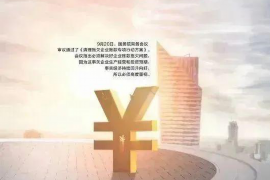 桑植为什么选择专业追讨公司来处理您的债务纠纷？